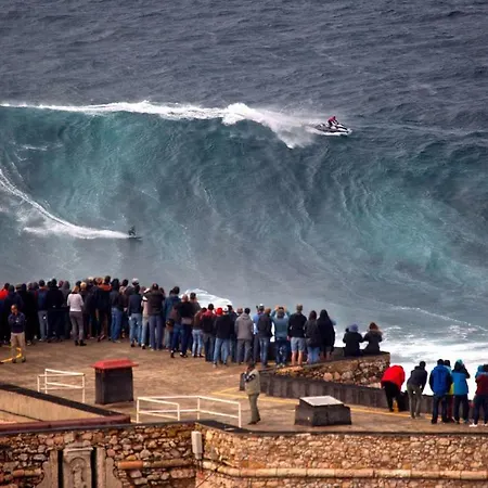 Rickyguesthouse Affittacamere