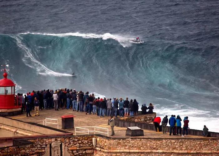 Rickyguesthouse Gæstehus
